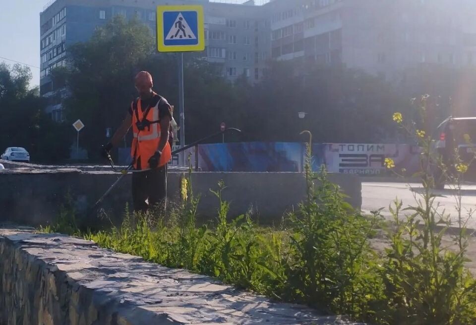    Покос травы в Барнауле. Источник: barnaul.org