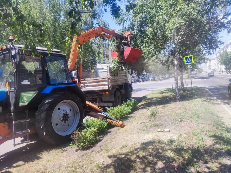     Фото: администрация Барнаула