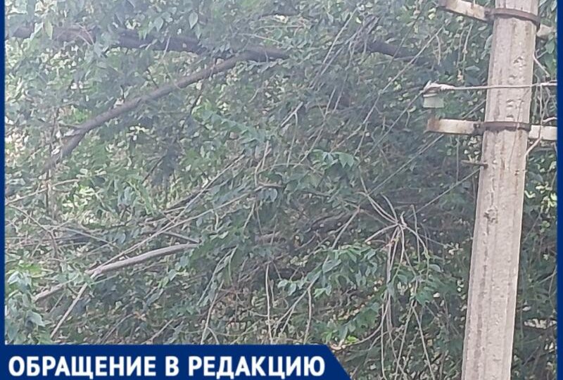 «Провода скоро оборвутся»: жители дома в Волжском бьют тревогу