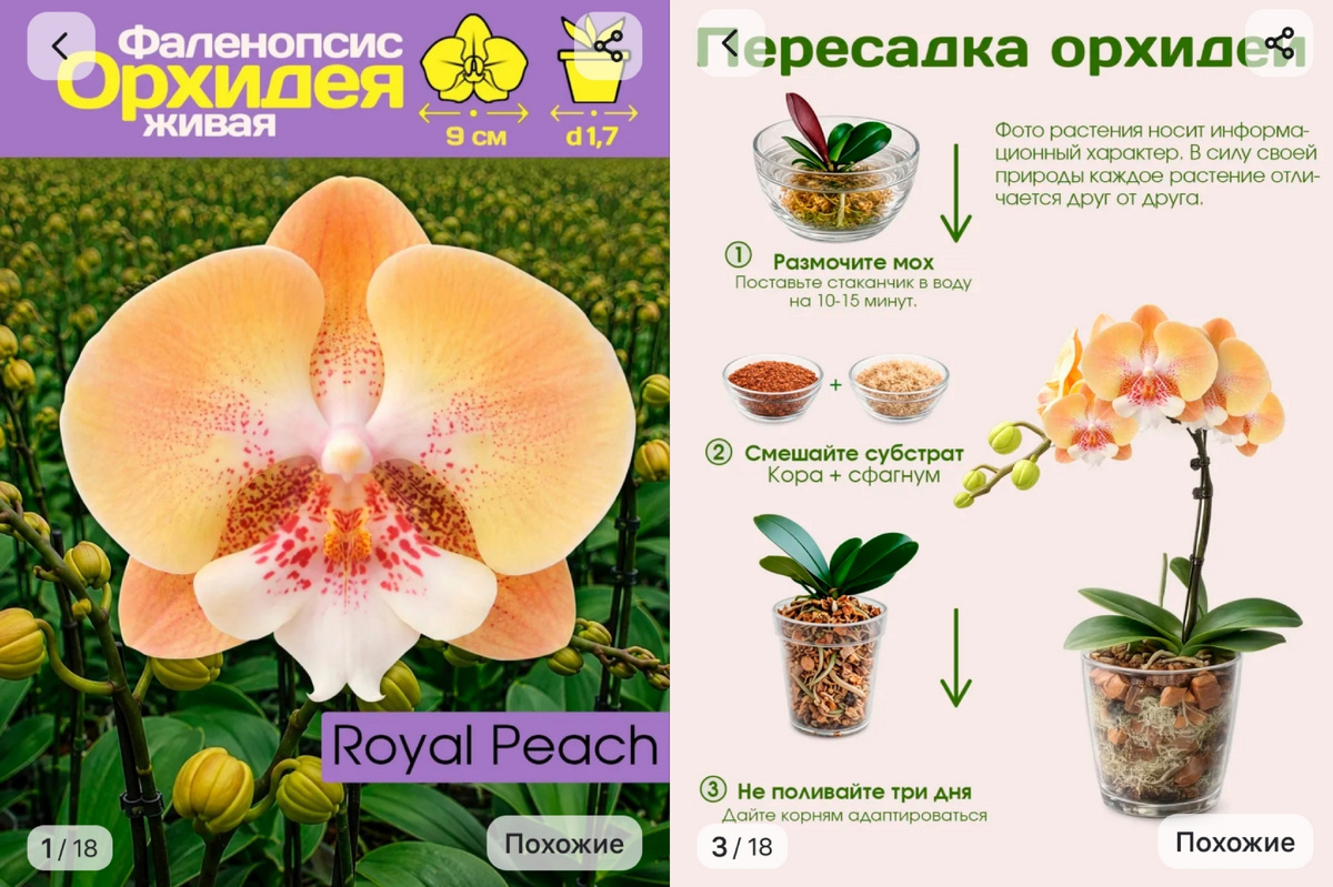 Скриншоты товара со страницы продавца на вб