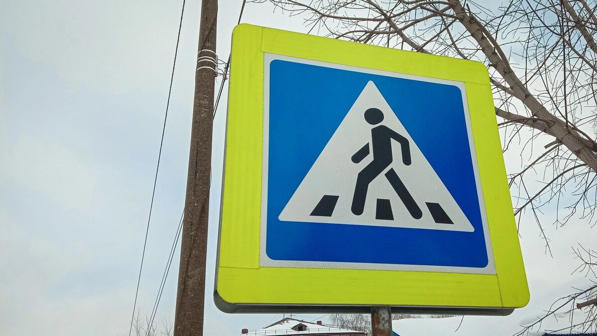    В качестве шеста девушка использовала столб от знака «пешеходный переход»   1MI