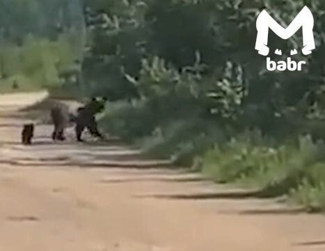    Фото: MAX-канал Babr Mash