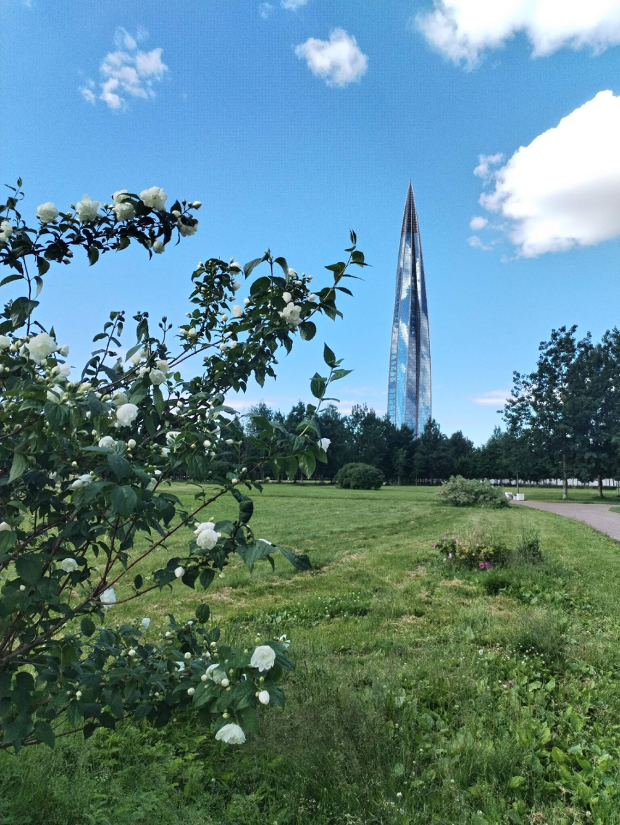 Фото: Элеонора Груздева https://vk.cc/cZ2jou