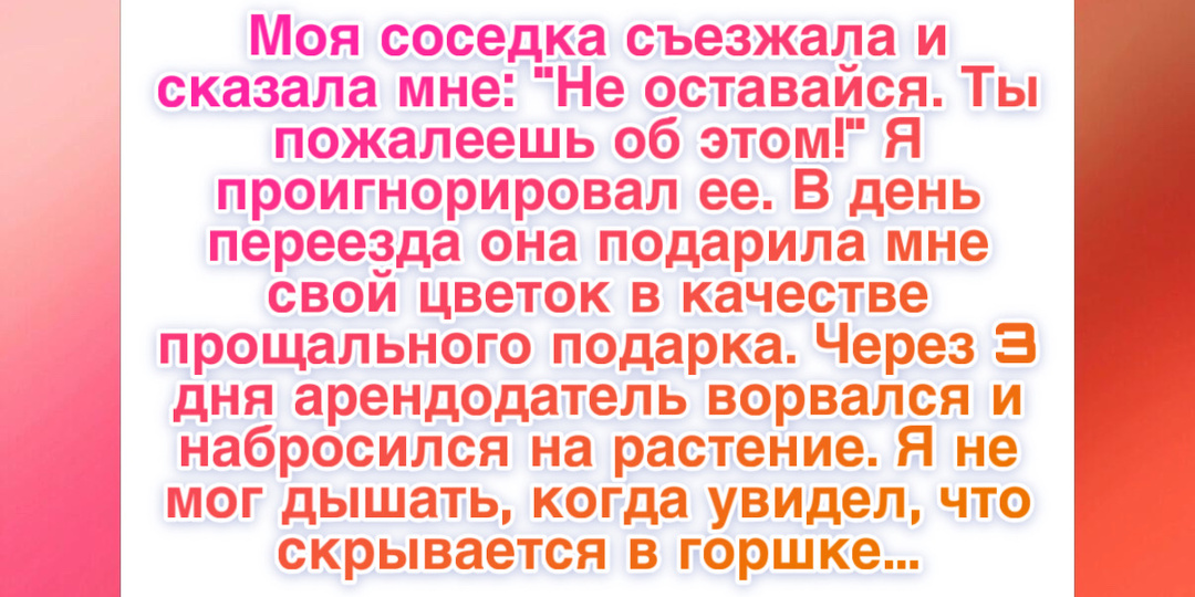 12 историй, которые доказывают: сострадание живет в людях, даже когда сердце болит