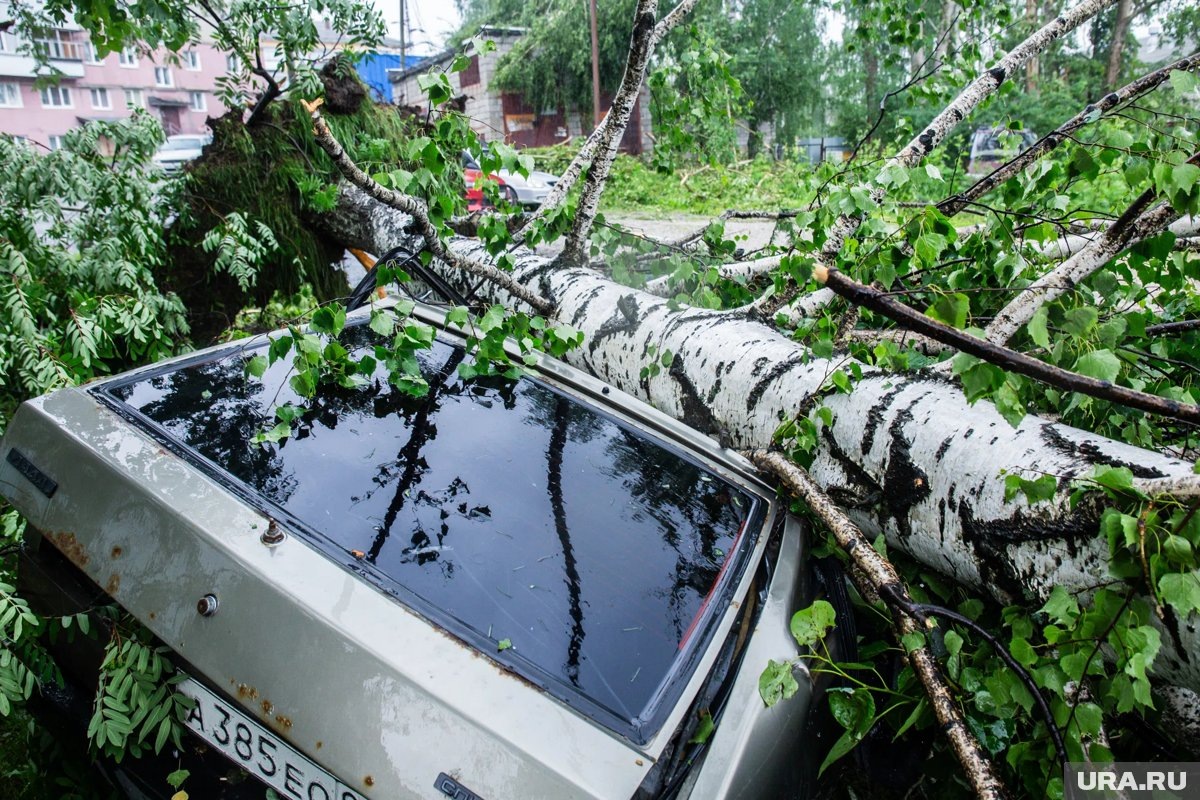     Супруги во время торнадо были в машине (архивное фото)