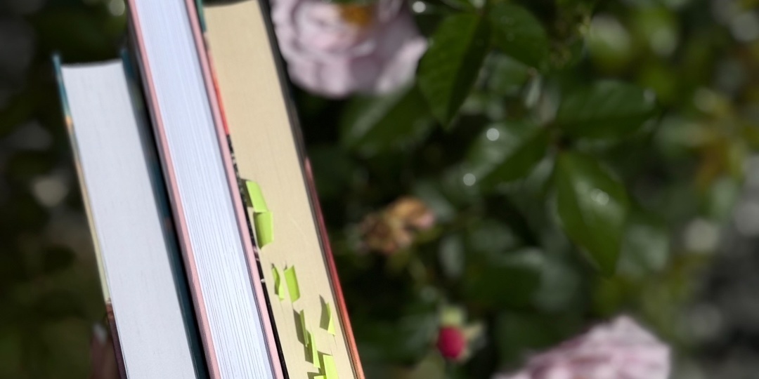 Читаю параллельно три книги