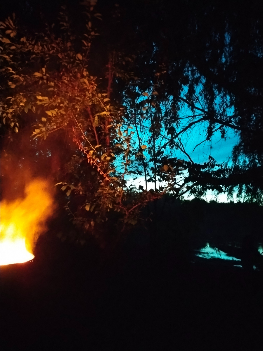 Вечер во дворе