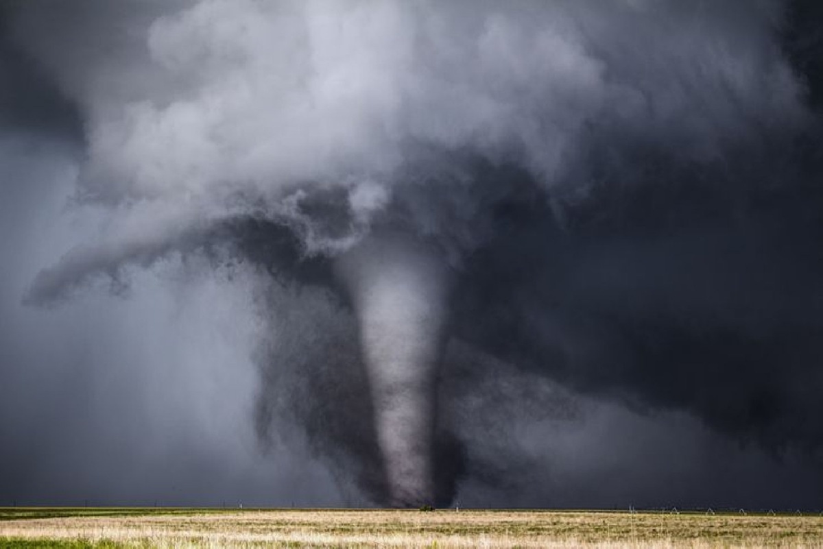    Фото: iStock/Francis Lavigne-Theriault