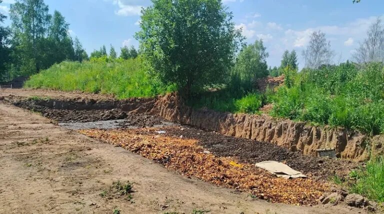    Фото: Министерство экологии и природопользования Московской области Илья Федоров