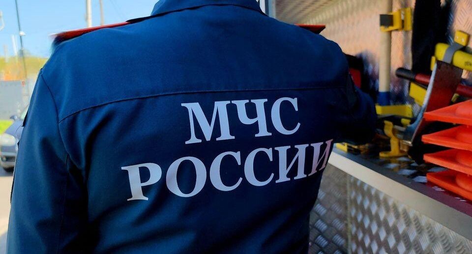    МедиаБанк Подмосковья/Александр Степушкин