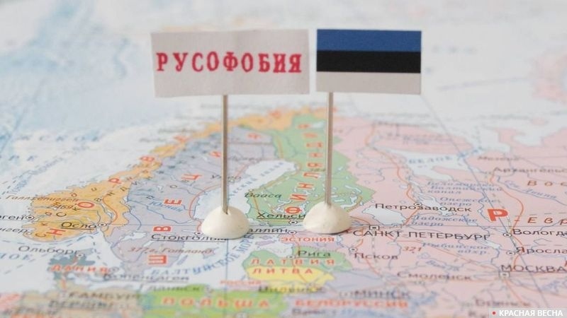     Эстония и русофобия   
Татьяна Раджабова © ИА Красная Весна
