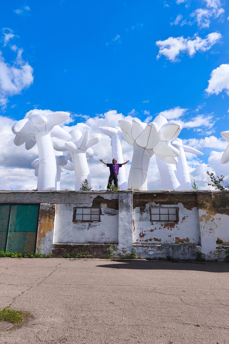    В Ельце пройдет фестиваль современного искусства «Арт-Елец» (фото 1)