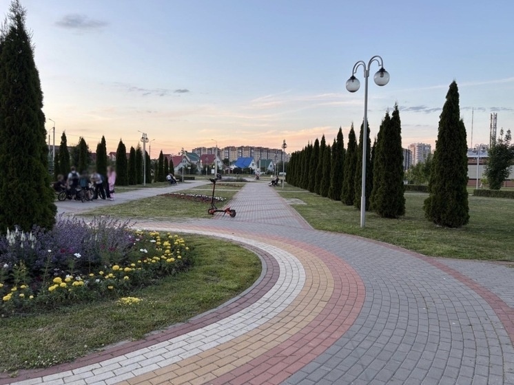     Госавтоинспекция Тамбовской области