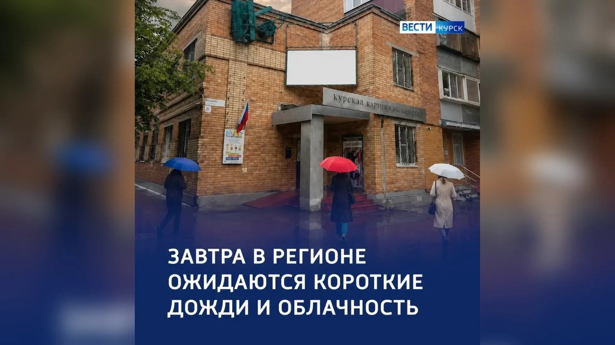    Немного дождливо: прогноз погоды в Курской области на завтра