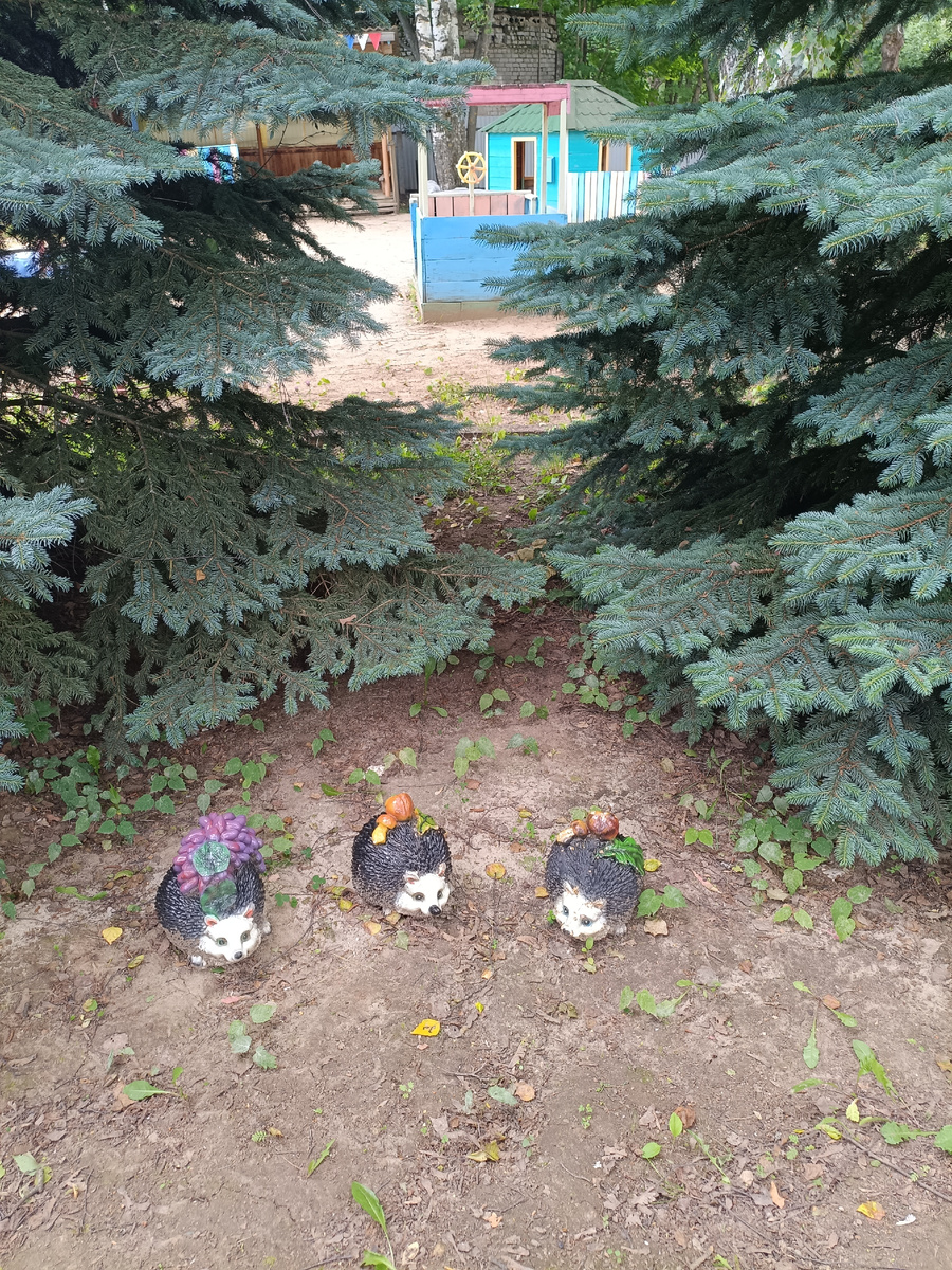 Источник: личное фото "три девицы под окном..."