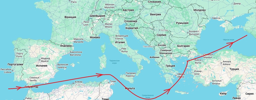 Почему акулы обходят Черное море стороной, будто там табличка «Не влезай, убьет»