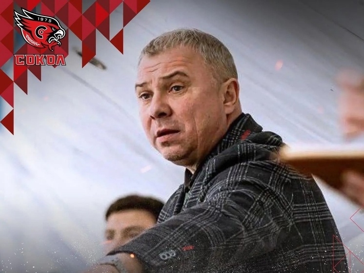     Иллюстрация: ХК "Сокол"