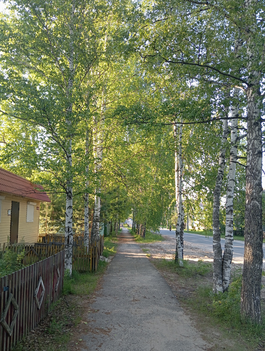 Обожаю эту дорогу , потому что она домой 