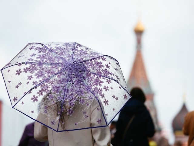    Фото: Москва 24/Никита Симонов