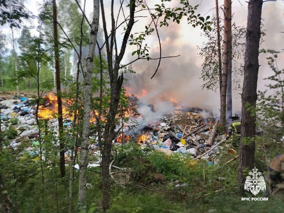    Пожар на полигоне ТБО в Турочакском районе. Источник: ГУ МЧС России по Республике Алтай