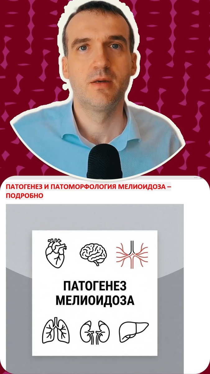 04 Как действует мелиоидоз в организме человека. (Мелиоидоз - 04 Патогенез)