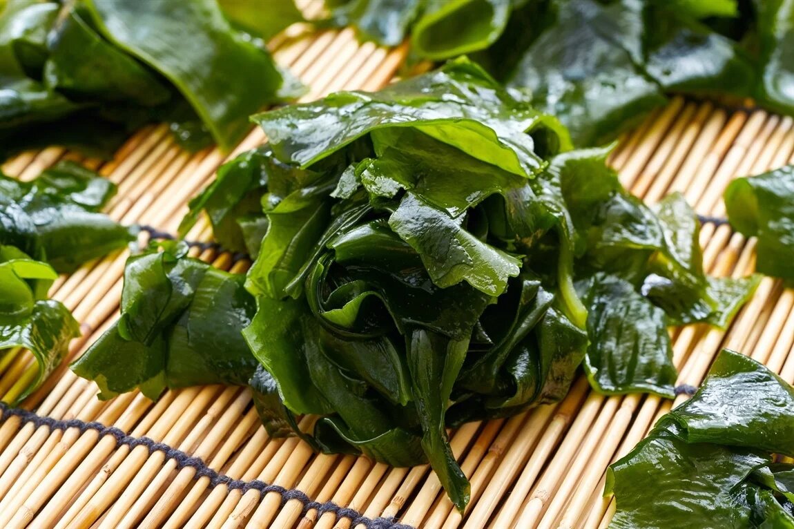 Ламинария японская