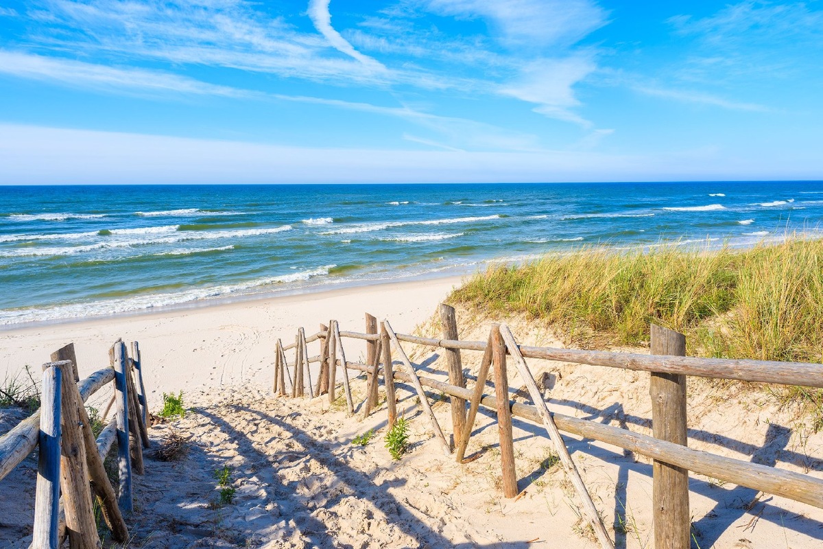    Фото: iStock/pkazmierczak