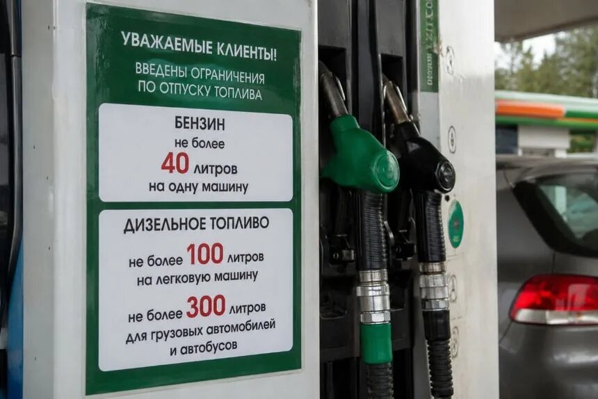    Фото: ИИ/ГИПОРТ