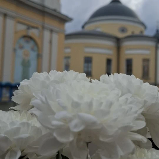 Если Вас преследуют - обращайтесь в правоохранительные органы. Там разберутся.