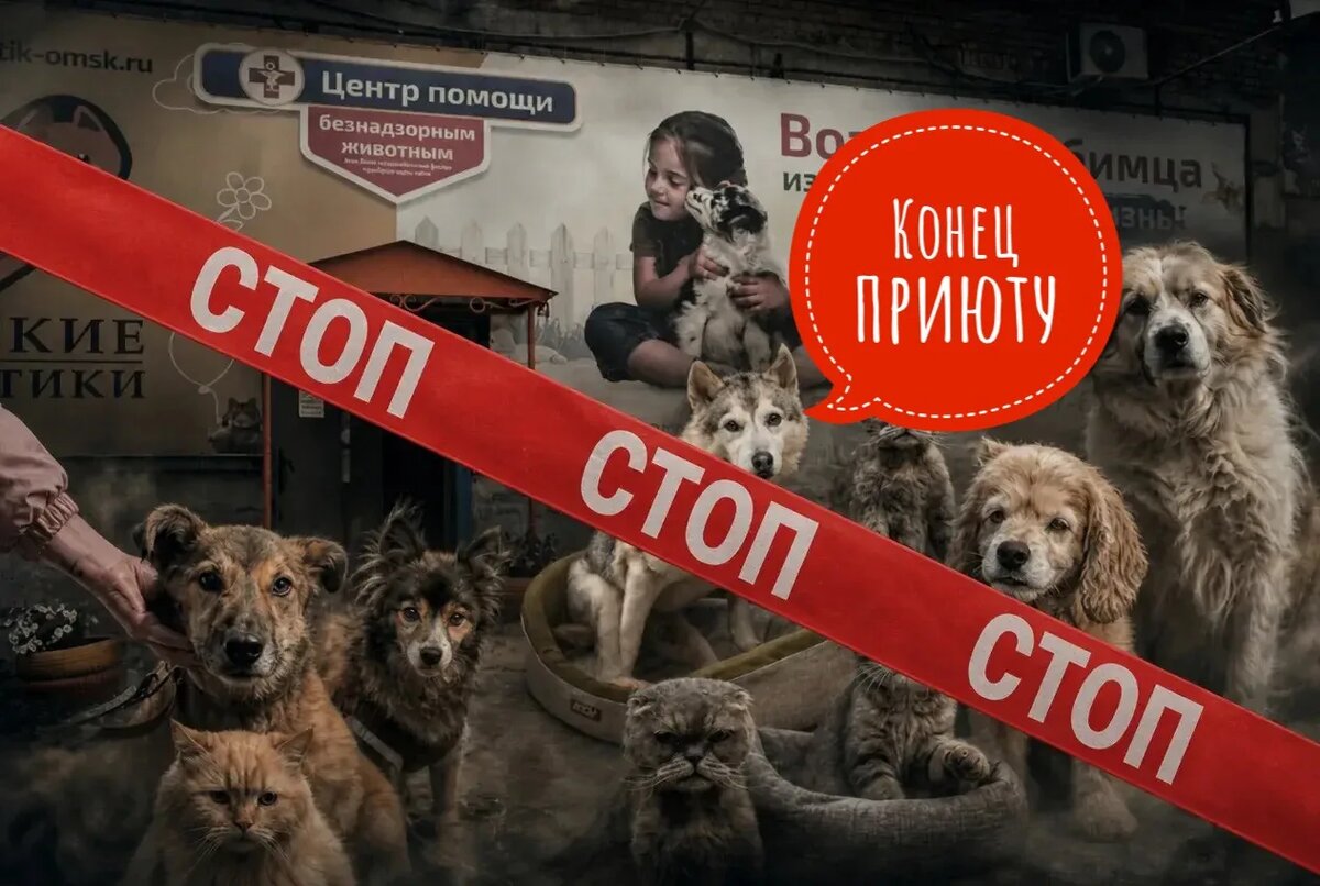 Мы боремся за тех, от кого отвернулись! День 100!