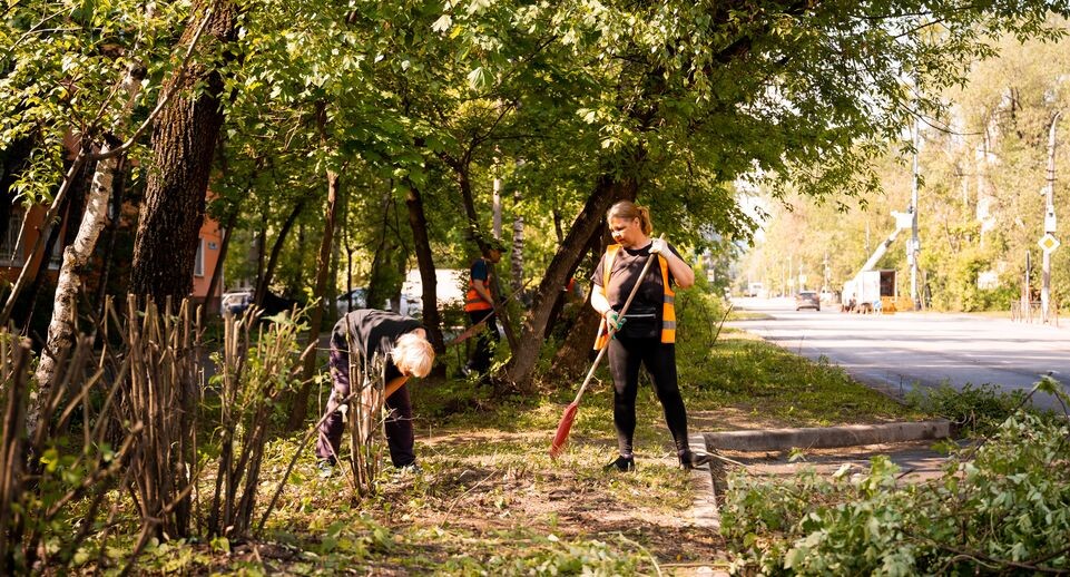    Медиасток.рф