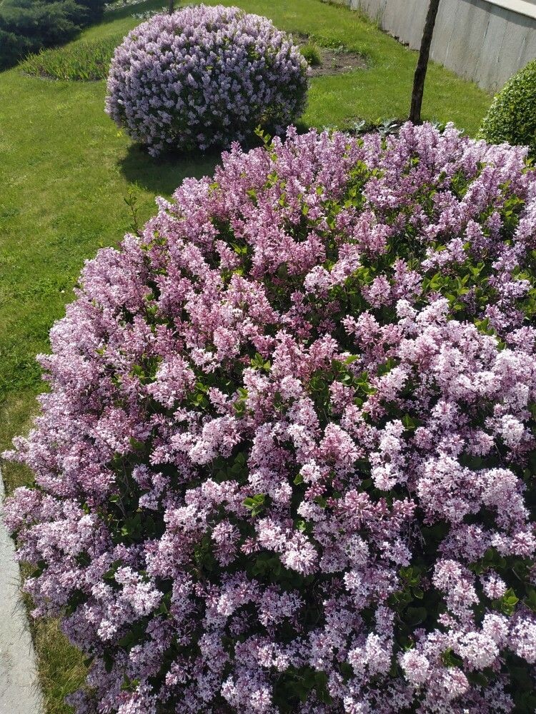 Изображение использовано с https://ru.pinterest.com/