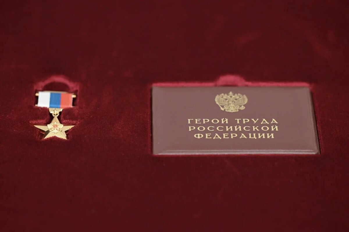 Фото: ДИП СО