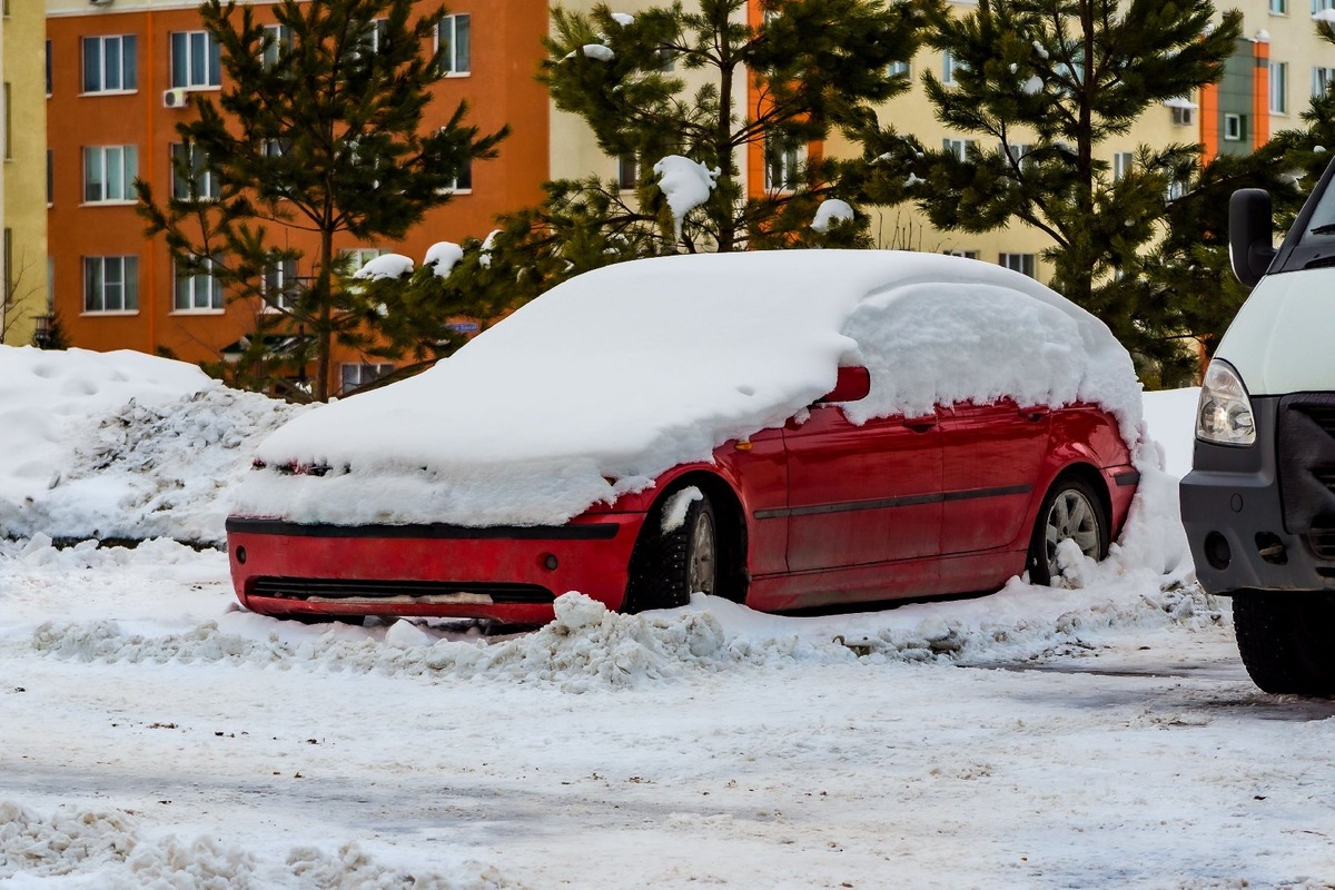    Фото: iStock/Дмитрий Коростылев