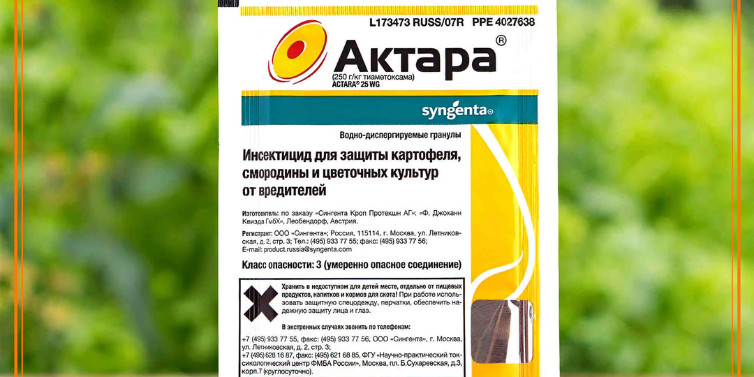 Как одна обработка «Актарой» в августе спасает урожай от белокрылки и тли