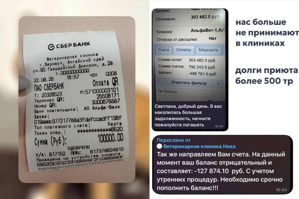    Долги клиники перевалили за несколько сотен тысяч. Фото: частный приют «Бусинка»