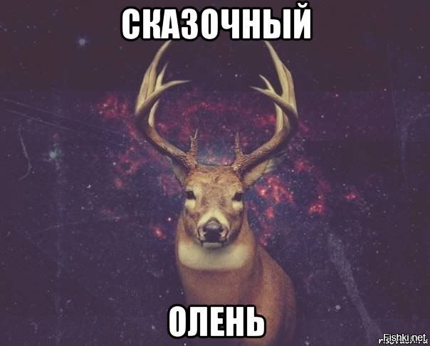 Германия в…: заслуга худшего канцлера