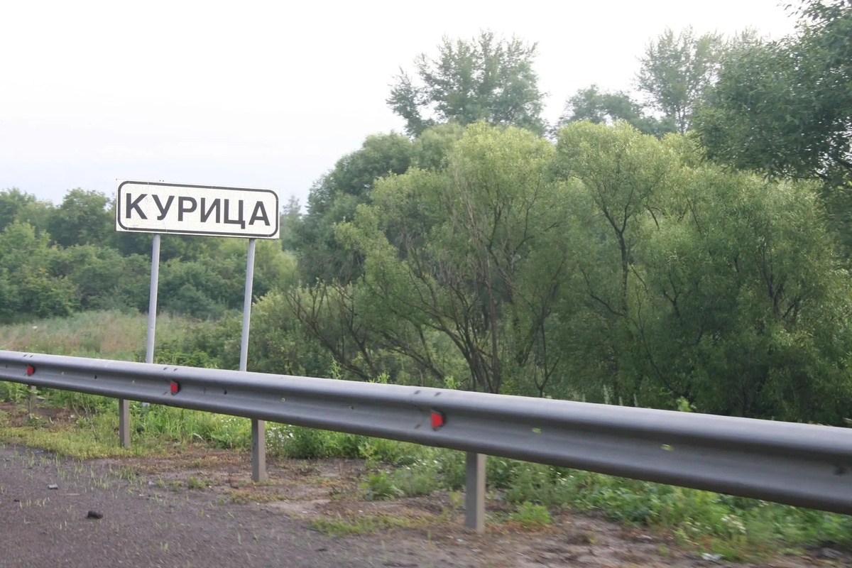 Прислал мне такую картинку 🤣 Делюсь, вдруг вам пригодится? 🤣
