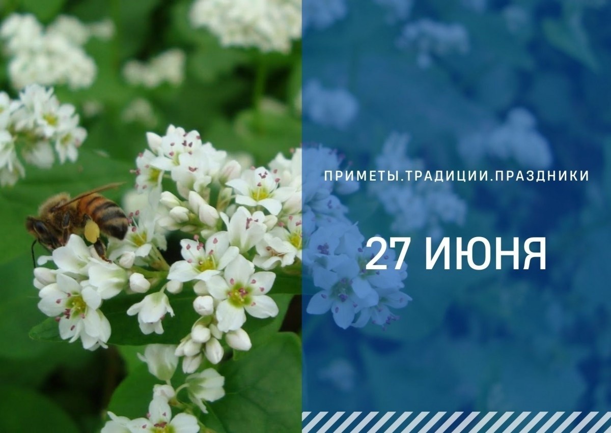 ГТРК "Ставрополье"
