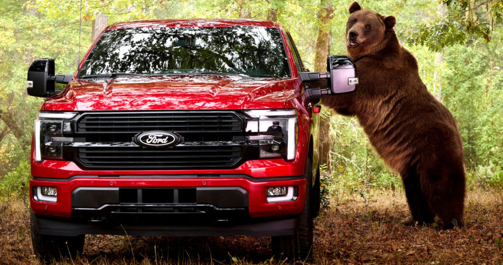В США медведей притравливают на... F-150 Platinum?!