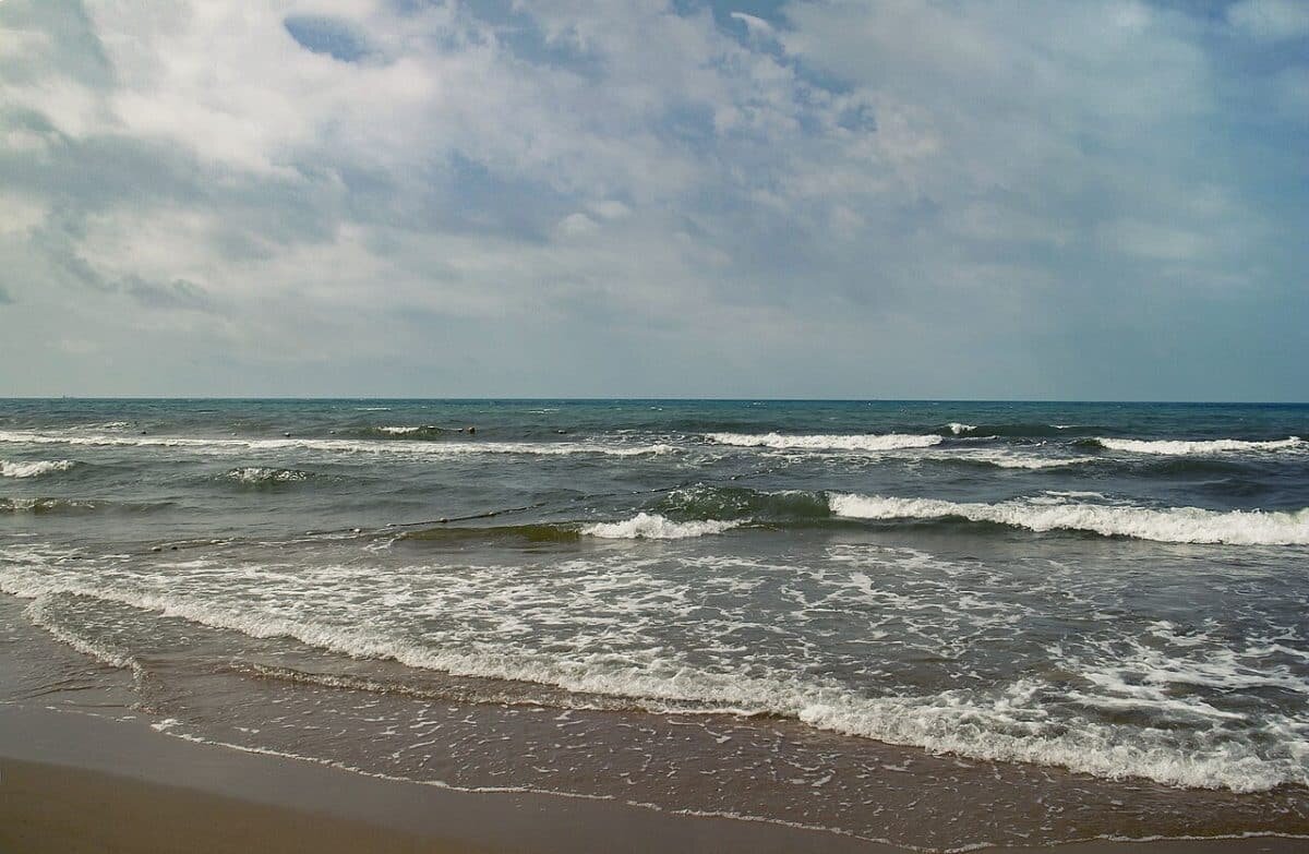    Черное море, пляж в районе Витязево, Краснодарский край / © Max071086, Wikipedia