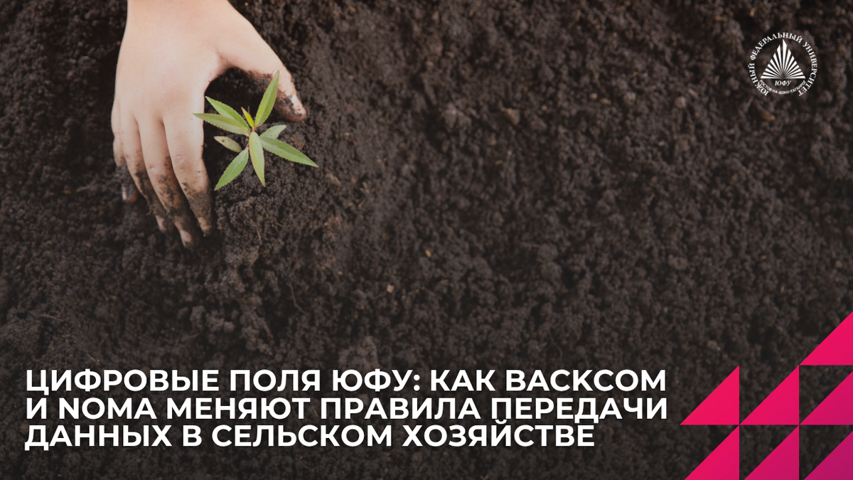 Источник: magnific.com