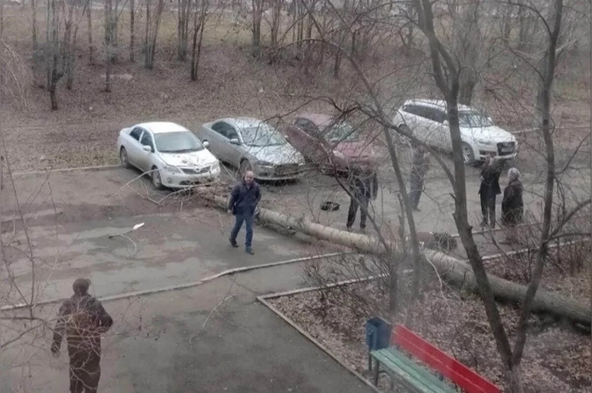    Цена бездействия.