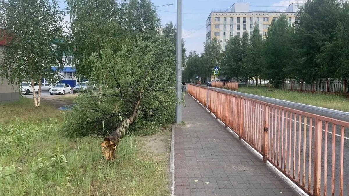   Сергей Жестовский / Вконтакте