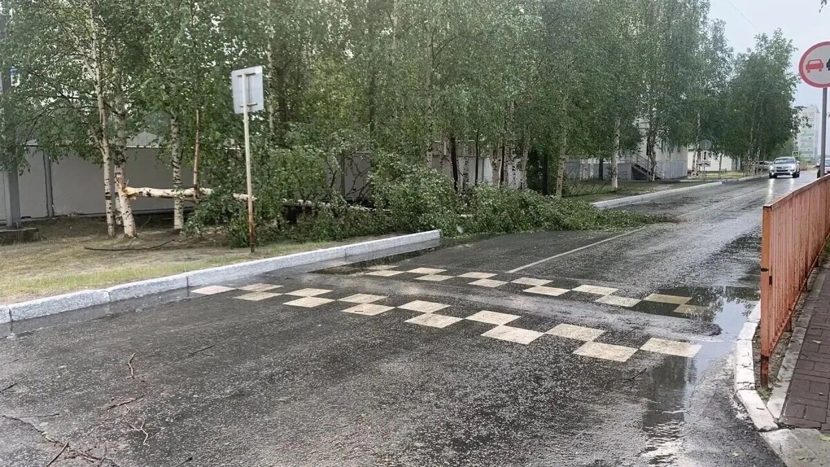   Сергей Жестовский / Вконтакте