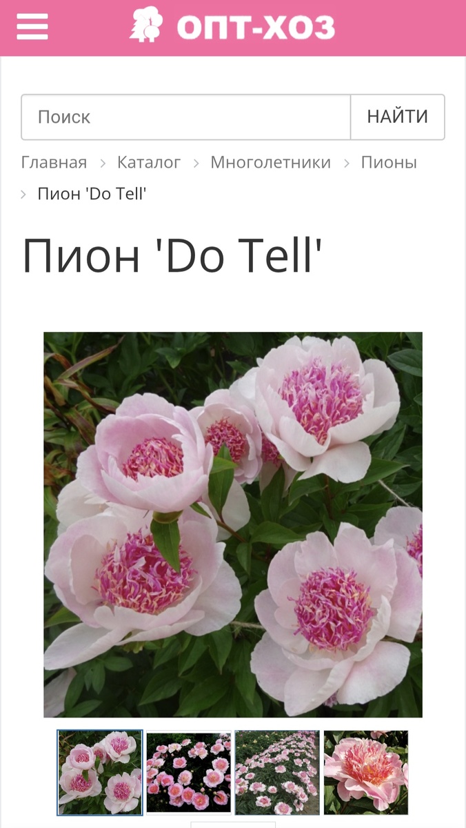 Фото сайта магазина ОПТ-ХОЗ.