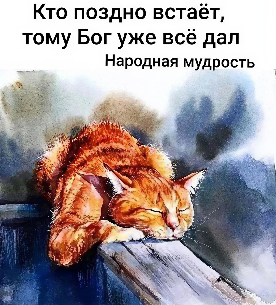 Мемасик №1