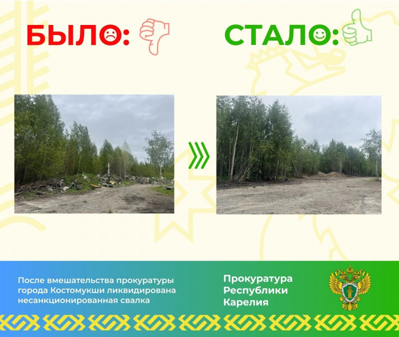    Прокуратура Костомукши заставила убрать горы покрышек на месте бывшей свинофермыКостомукшское лесничество / ВК
