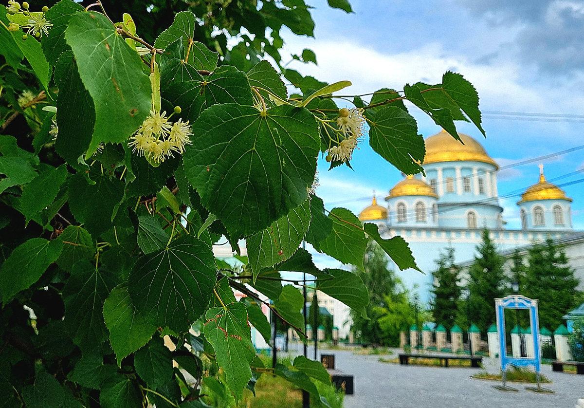 Лебедянь, улица Советская. Фото автора статьи.