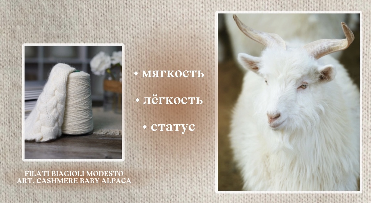 Кашемир 